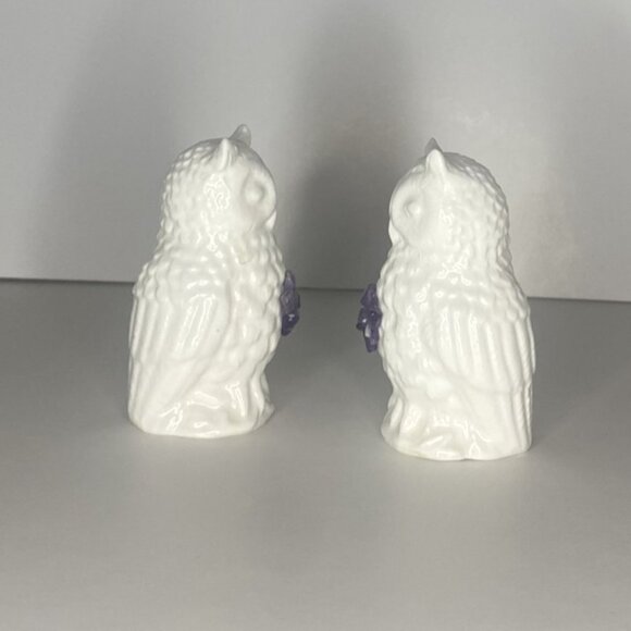 White Owl with Amethyst Flower Salt & Pepper Shakers - Picture 3 of 8